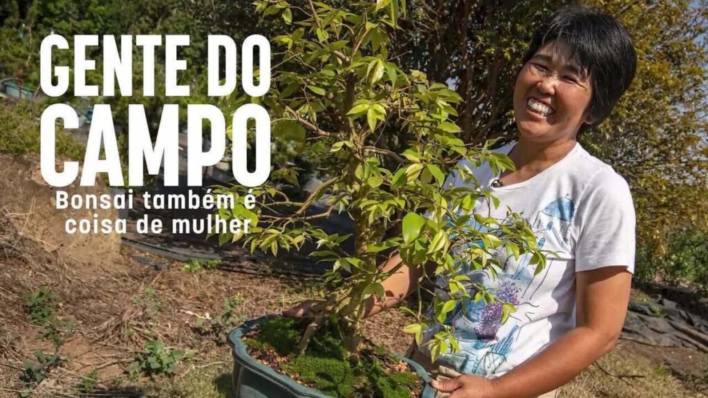 Brasileira domina arte do bonsai e mantém viveiro com mais de mil miniárvores: 'Não aceitavam mulher'
