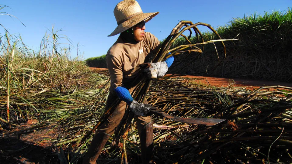 Brasil terá segunda maior safra de cana, segundo estimativa da Conab