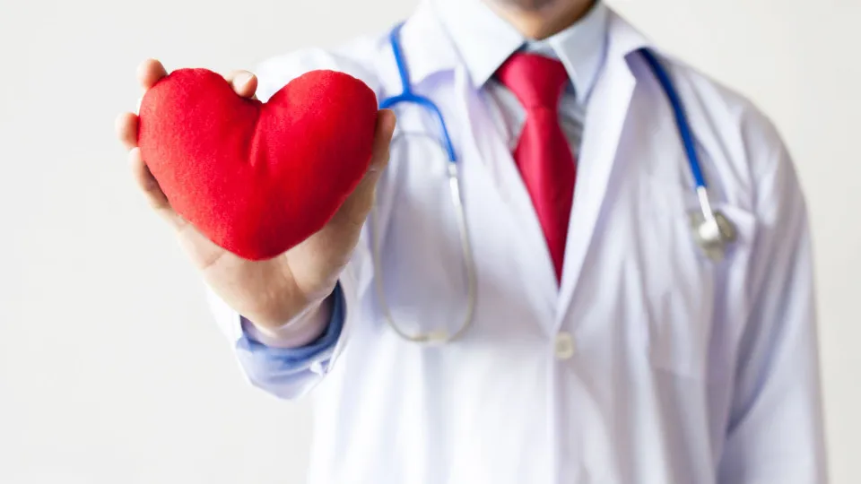 Cardiologista recomenda superalimento para um coração saudável