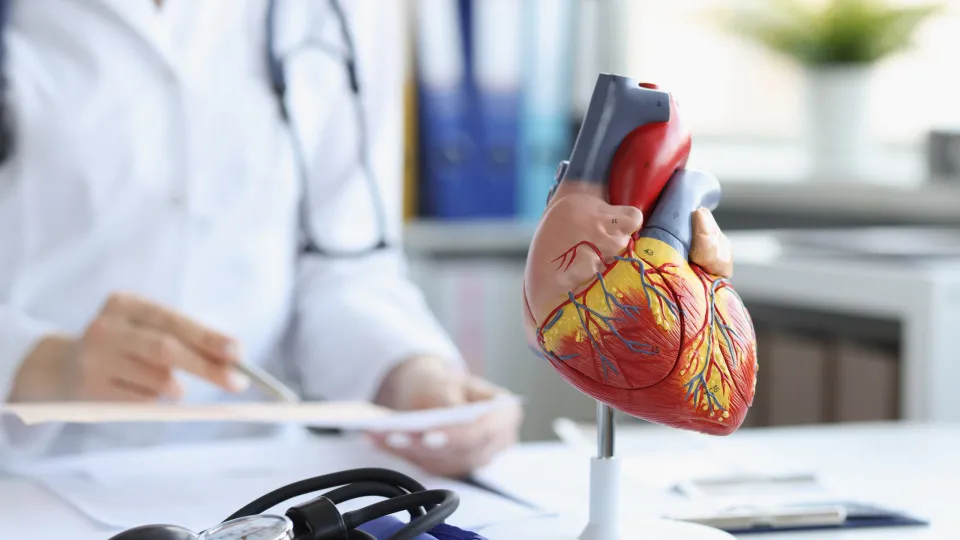 Cardiologista indica nove hábitos que previnem ‘inimigo silencioso’ Cardiologista indica nove hábitos que previnem ‘inimigo silencioso’