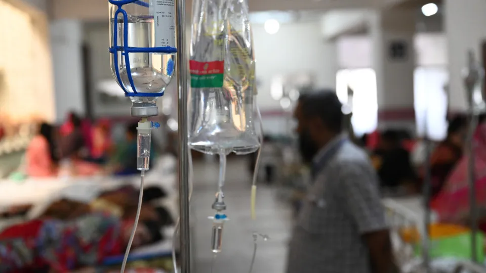 Febre amarela e dengue causam quadros de hepatite; entenda Febre amarela e dengue causam quadros de hepatite; entenda