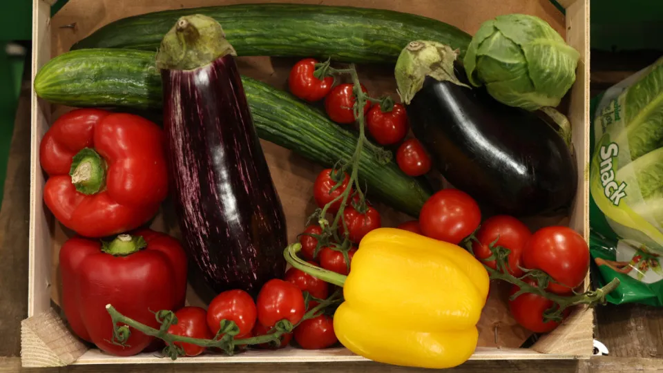 Nicotina: alimentos comuns que podem ser tão viciantes quanto o cigarro!