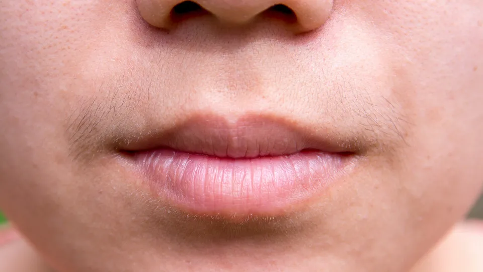 Testosterona em mulheres: Tudo o que precisa saber Testosterona em mulheres: Tudo o que precisa saber