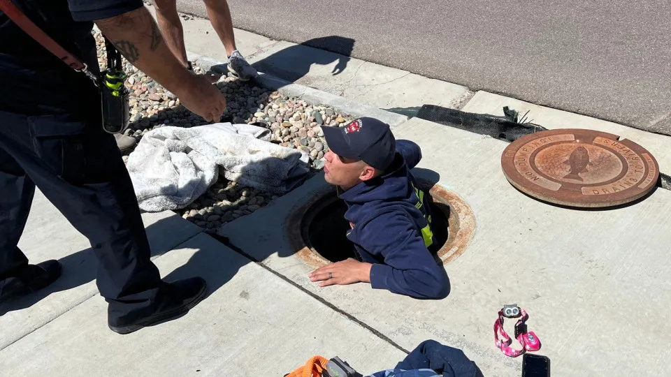 Três crianças e dois cães são resgatados de esgoto nos EUA; veja