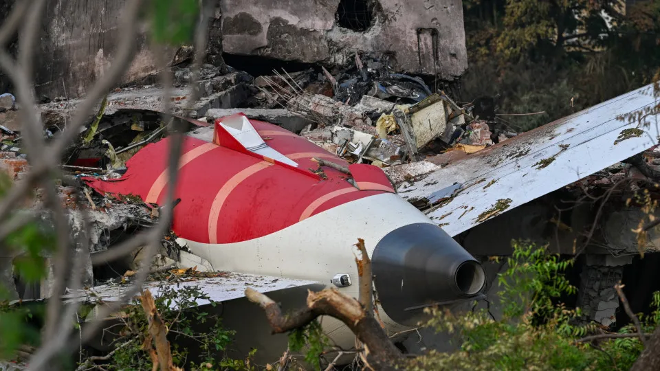 Colisão com aves pode ser “provável” causa da queda de avião na Índia