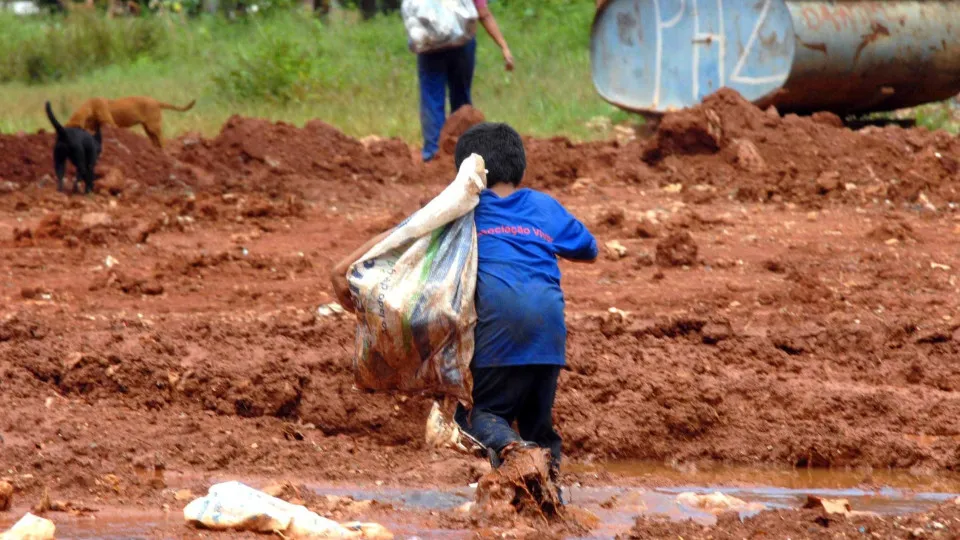 Mais de 6 mil crianças são resgatadas do trabalho infantil em 2 anos Mais de 6 mil crianças são resgatadas do trabalho infantil em 2 anos