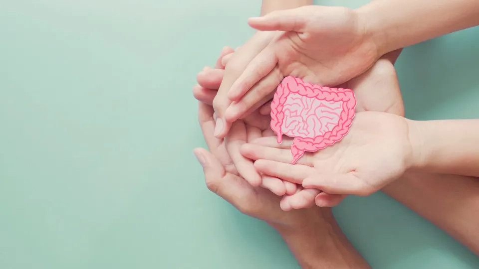 Melhore a saúde dos intestinos com quatro hábitos simples