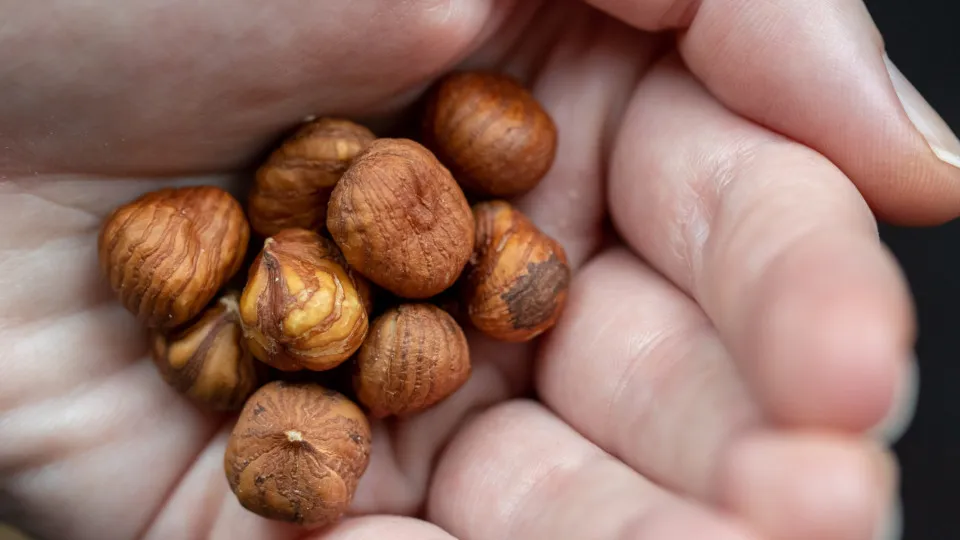 As alergias mais comuns do mundo e seus sintomas