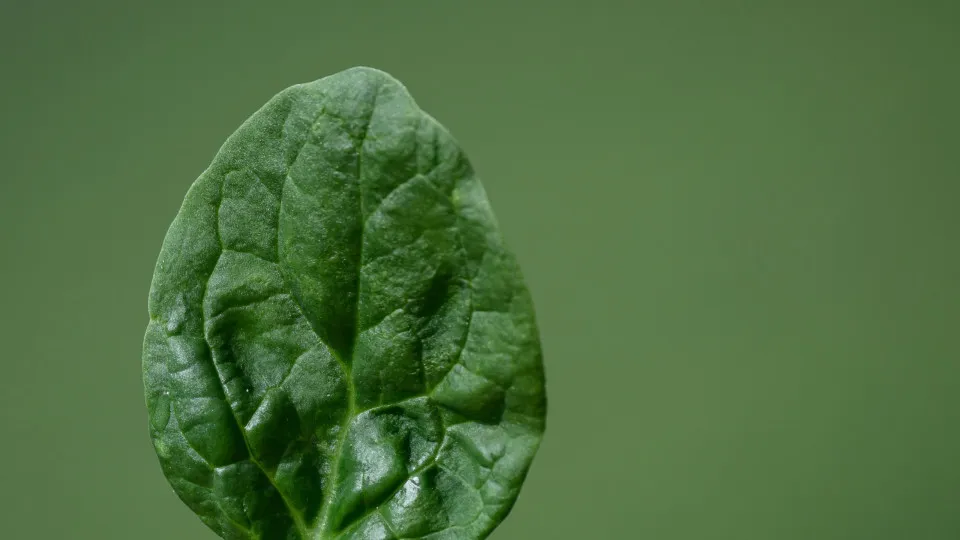 Comidas para evitar o estresse, a ansiedade e a depressão