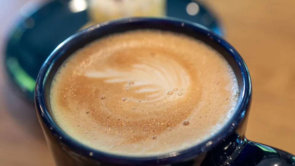 Como o café influencia o microbioma intestinal