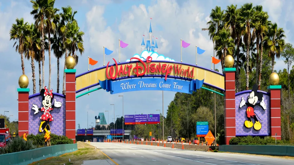 Entenda como a Disney World evita mosquitos mesmo no calor da Flórida