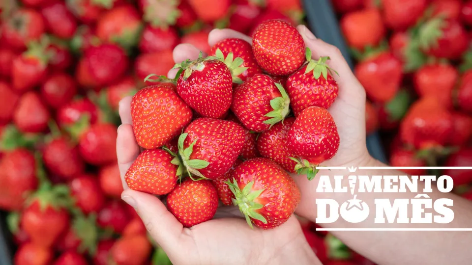 Fã de morangos? Conheça os benefícios e a melhor forma de os armazenar