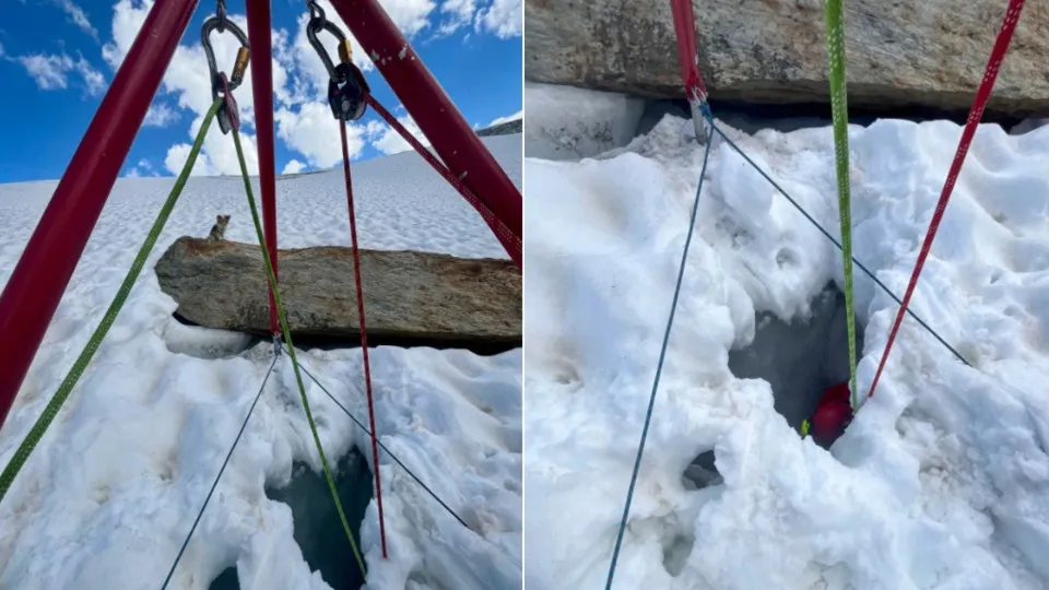 Herói de 4 patas: Chihuahua ‘salva’ dono que caiu em fenda glacial