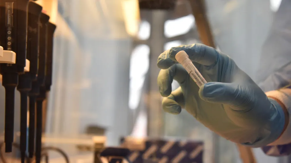 Testes de DNA de ancestralidade: são realmente confiáveis?
