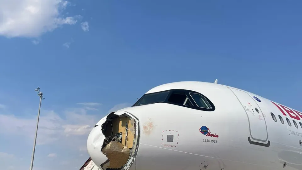 Choque com ave obriga avião a fazer pouso de emergência em Madrid