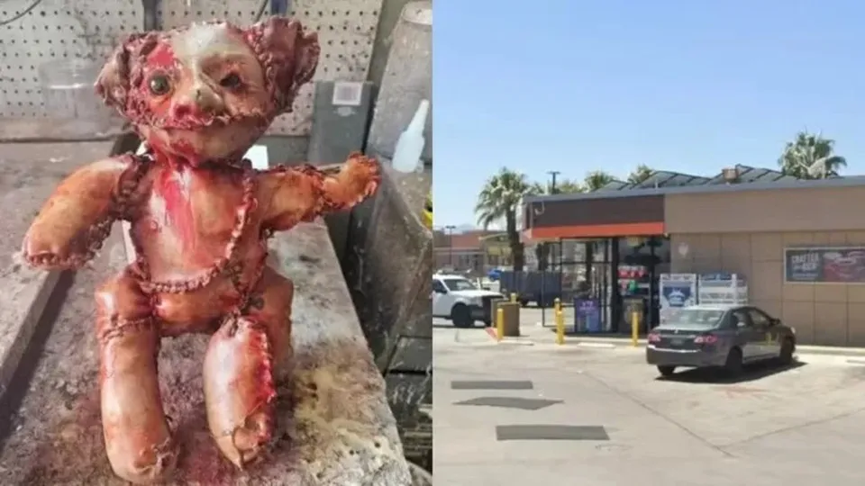 Descoberta de ursinho de ‘pele humana’ realista mobiliza polícia nos EUA