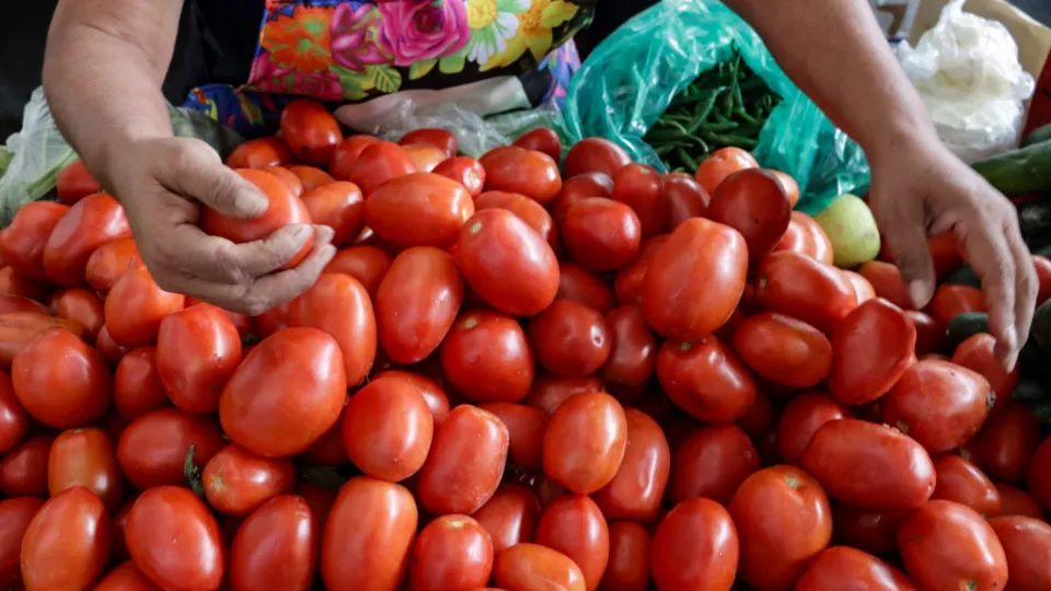 Por que você NÃO deve guardar esses alimentos na geladeira Por que você NÃO deve guardar esses alimentos na geladeira