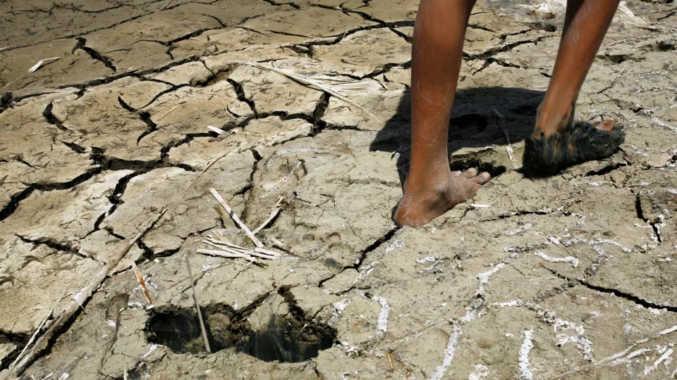 Seria possível trazer humanos de volta após extinção?