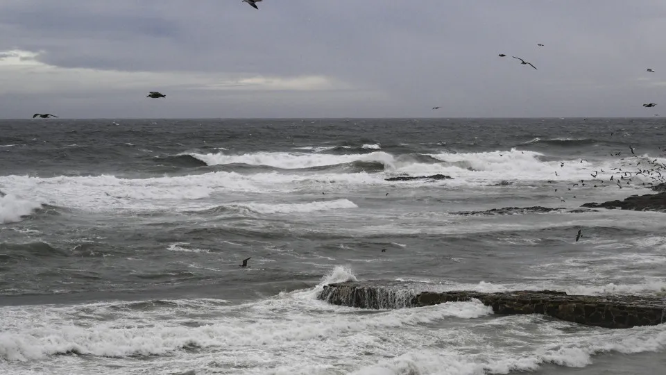 Sinais da natureza que profetizam terremotos e outros desastres naturais