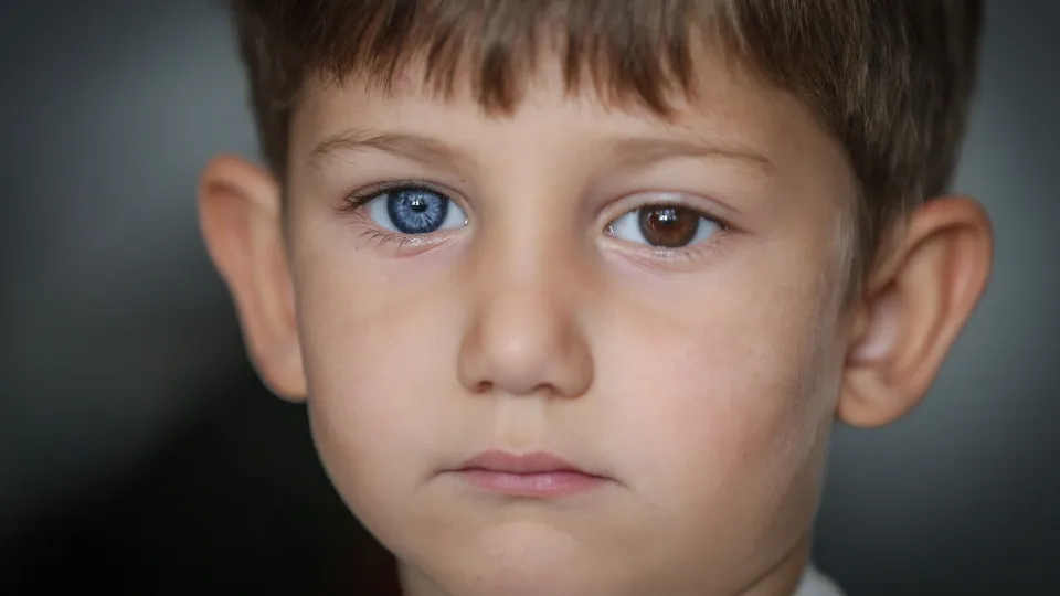 A ciência por trás dos olhos verdes e azuis A ciência por trás dos olhos verdes e azuis