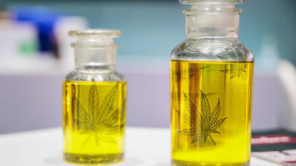 Uso de óleo de canabidiol por crianças autistas traz melhora na sociabilidade, mostra estudo