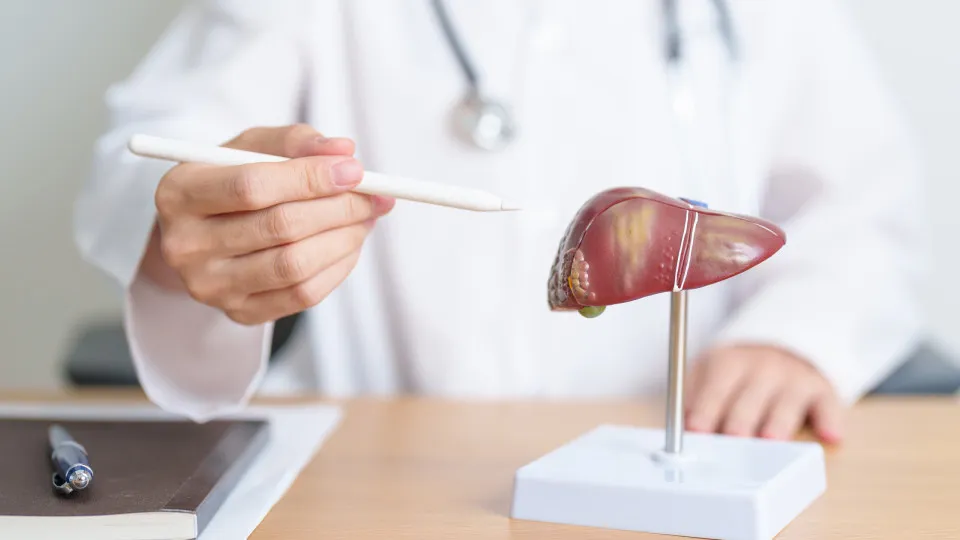 Dê um fim à gordura no fígado com estes chás e infusões